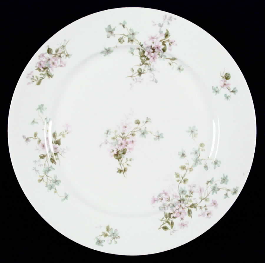 CHF72 Dinner Plate by Charles Field Haviland-1