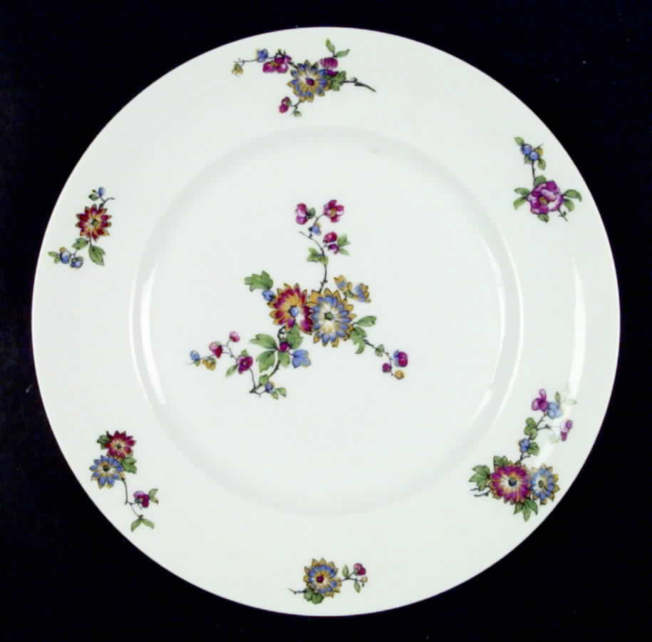 CHF85 Dinner Plate by Charles Field Haviland-1