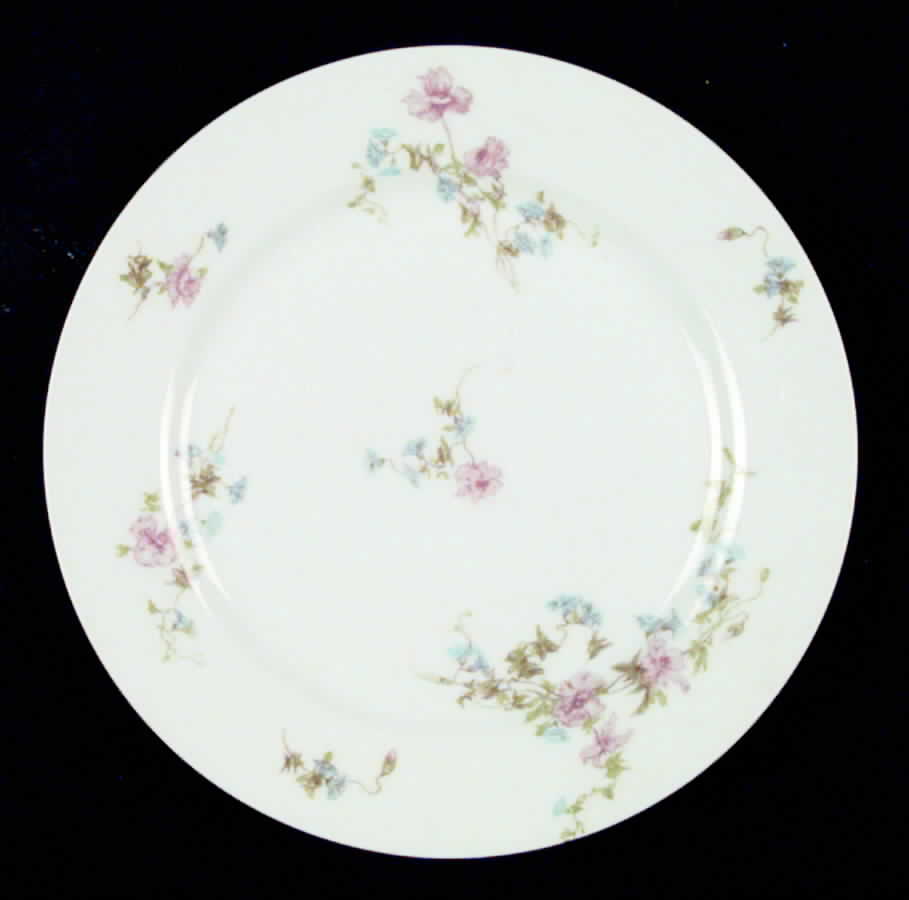 CHF88 Salad Plate by Charles Field Haviland-1