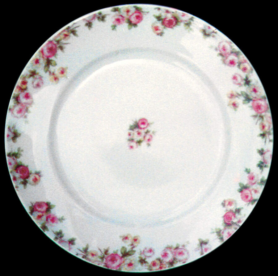 Head 117-1 Dinner Plate by Charles Field Haviland-1