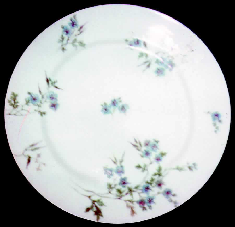 CHF91 Dinner Plate by Charles Field Haviland-1