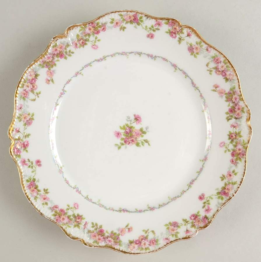 Head 115 Dinner Plate by Charles Field Haviland-1
