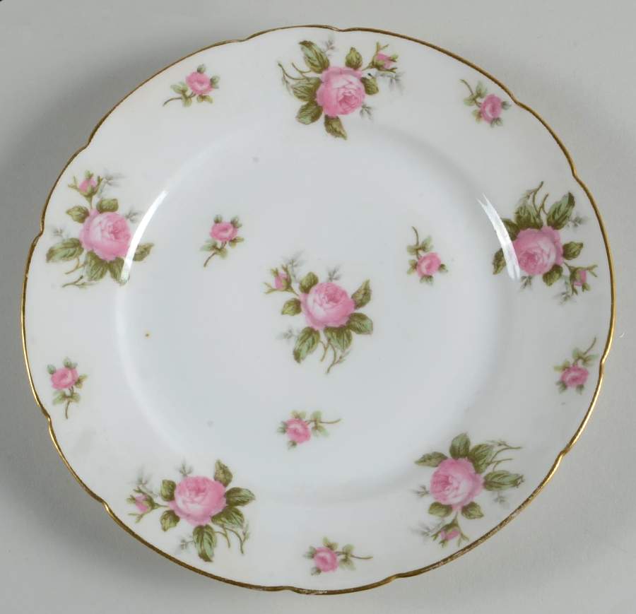 Head 38b Dinner Plate by Charles Field Haviland-1