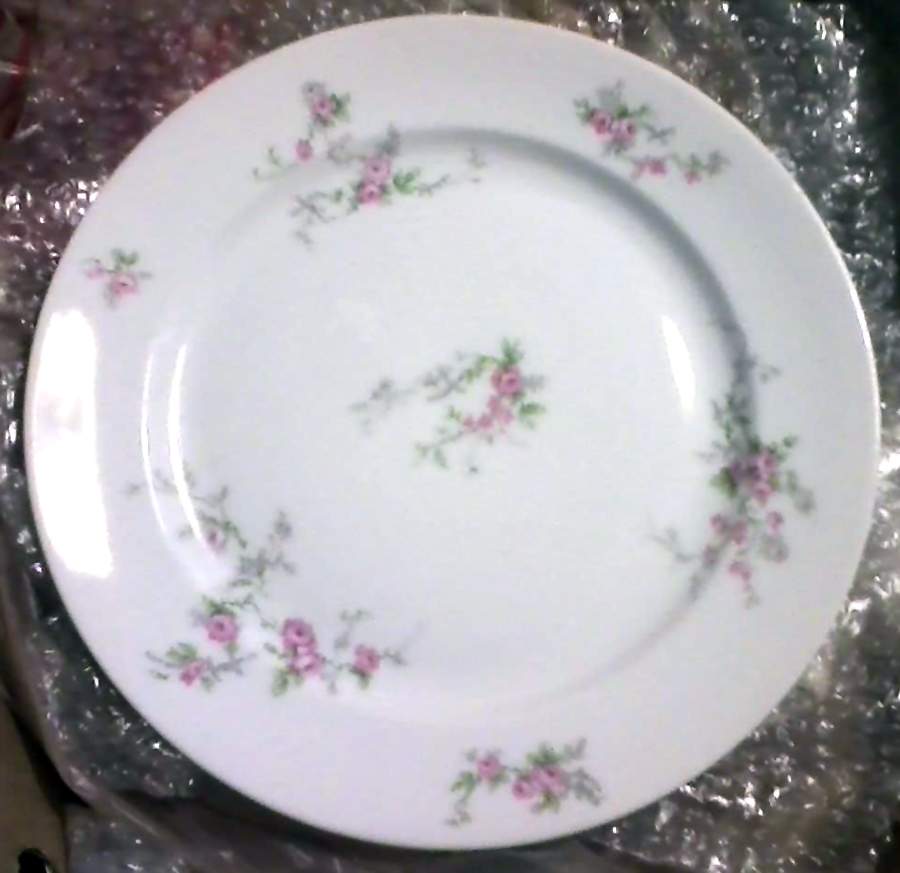 Head 99 Dinner Plate by Charles Field Haviland-1