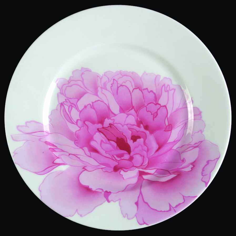 Pivoine De Chine De Canovas Dessert Luncheon Plate by Charles Field Haviland-1