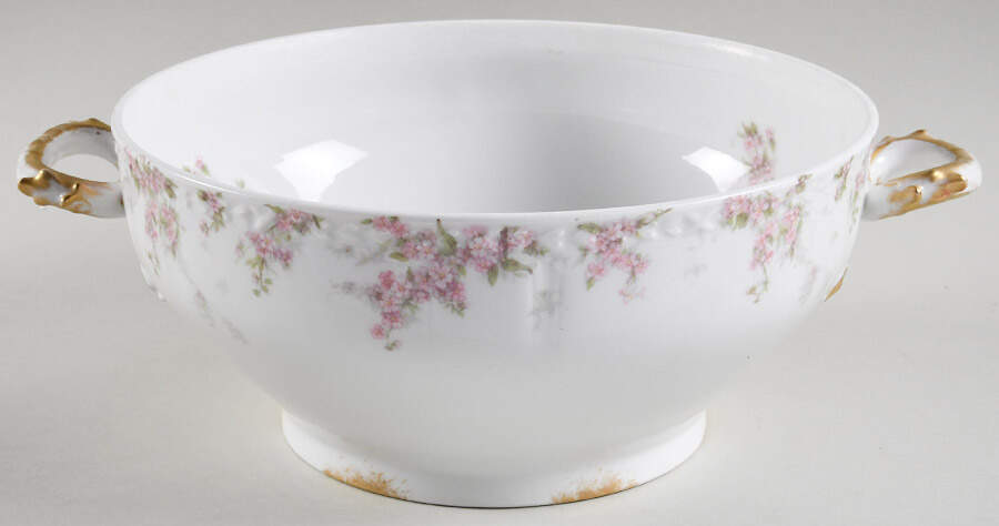 Schleiger 1289 Tureen No Lid by Charles Field Haviland-1