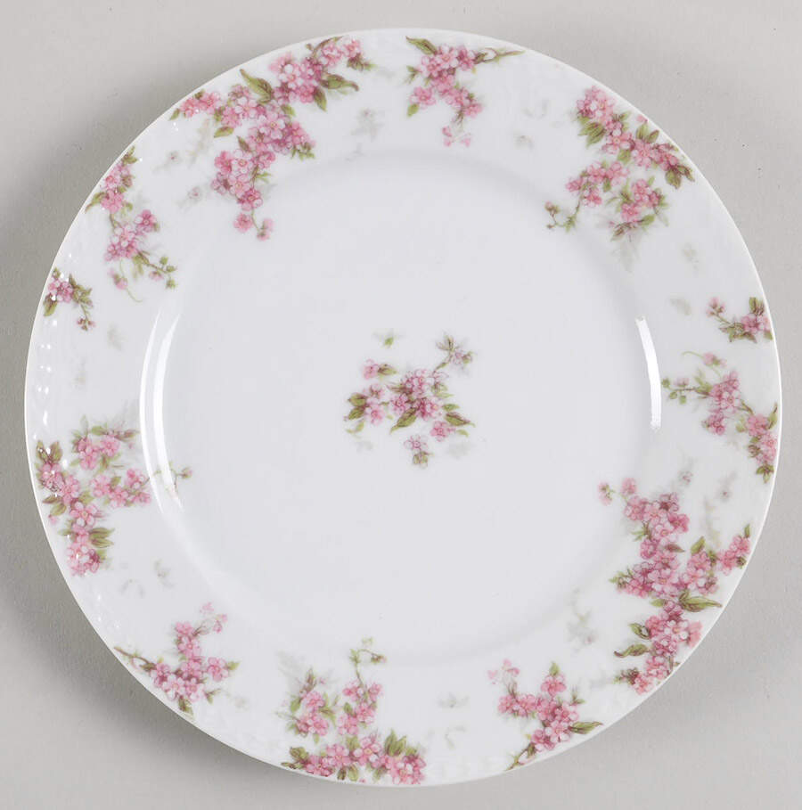 Schleiger 1289 Salad Plate by Charles Field Haviland-1