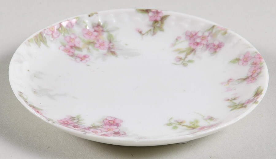 Schleiger 1289 Butter Pat by Charles Field Haviland-1