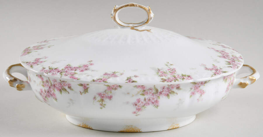 Schleiger 1289 Oval Covered Vegetable by Charles Field Haviland-1