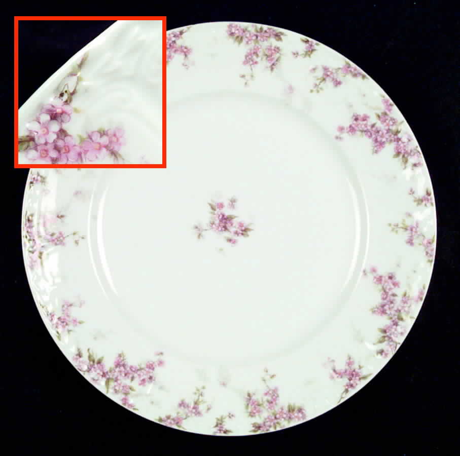 Schleiger 1289 Dinner Plate by Charles Field Haviland-1