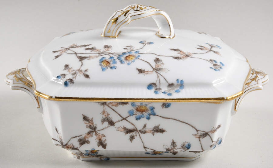 Schleiger 1311 Square Covered Vegetable by Charles Field Haviland-1