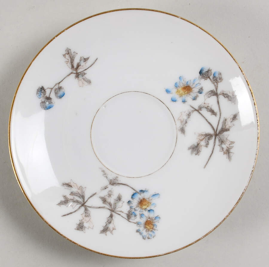 Schleiger 1311 Saucer for Flat Cup by Charles Field Haviland-1