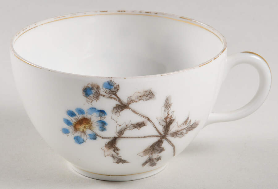 Schleiger 1311 Flat Cup by Charles Field Haviland-1