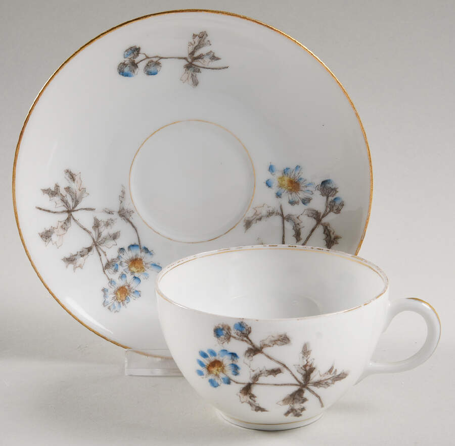Schleiger 1311 Flat Cup & Saucer Set by Charles Field Haviland-1
