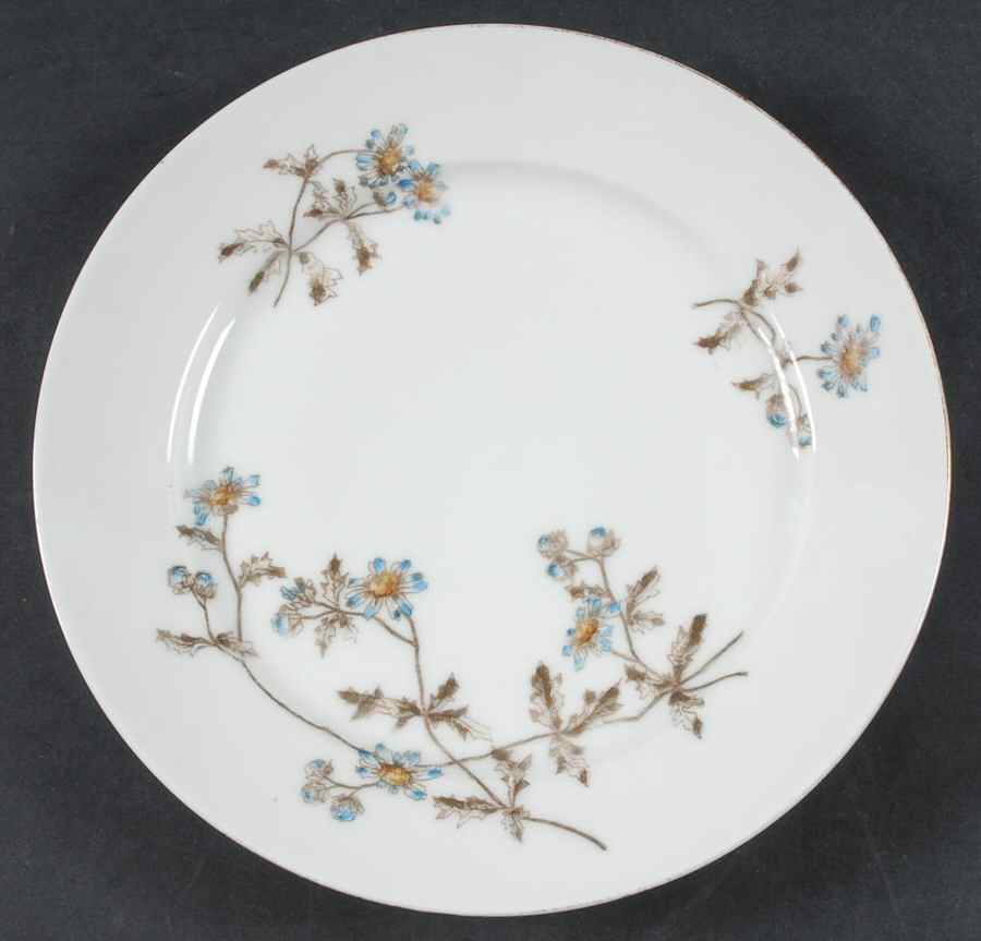 Schleiger 1311 Dinner Plate by Charles Field Haviland-1