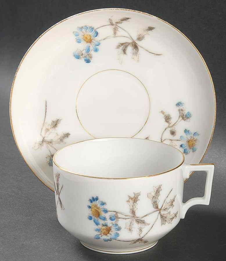 Schleiger 1311 Flat Cup & Saucer Set by Charles Field Haviland-1
