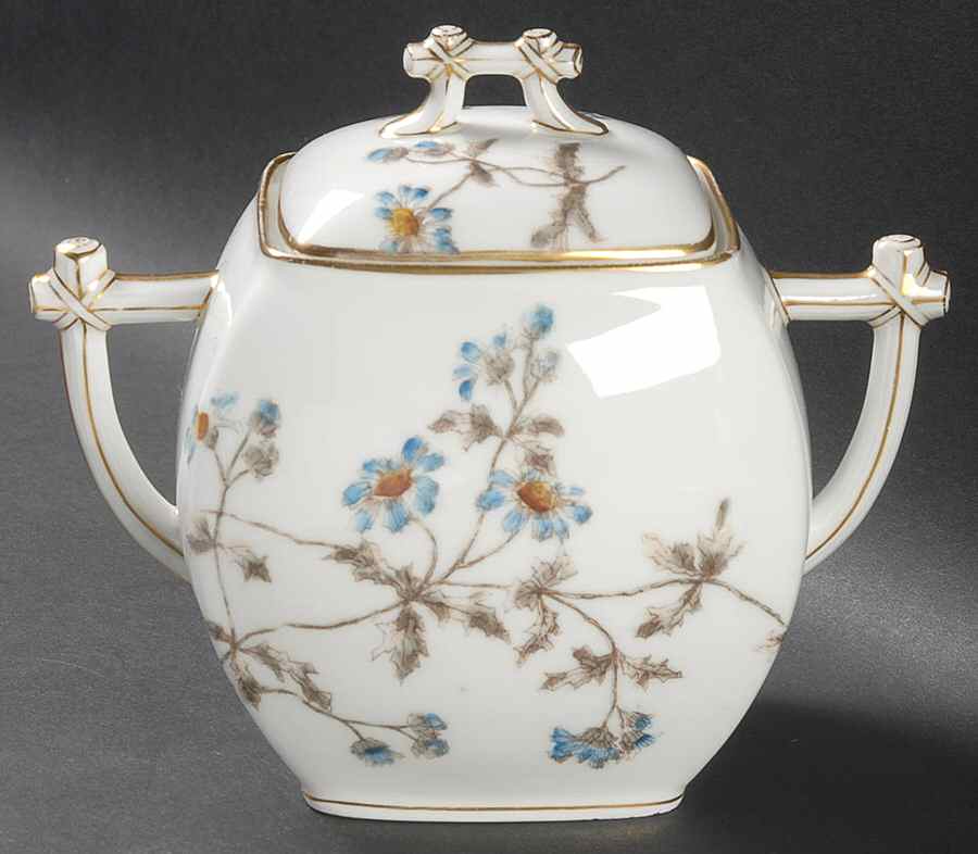 Schleiger 1311 Sugar Bowl & Lid by Charles Field Haviland-1