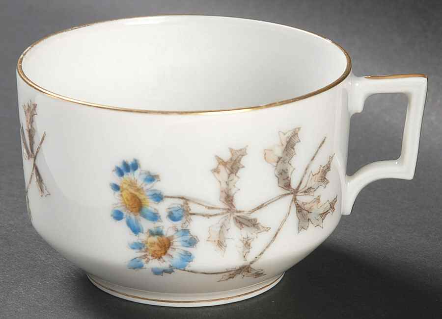 Schleiger 1311 Flat Cup by Charles Field Haviland-1