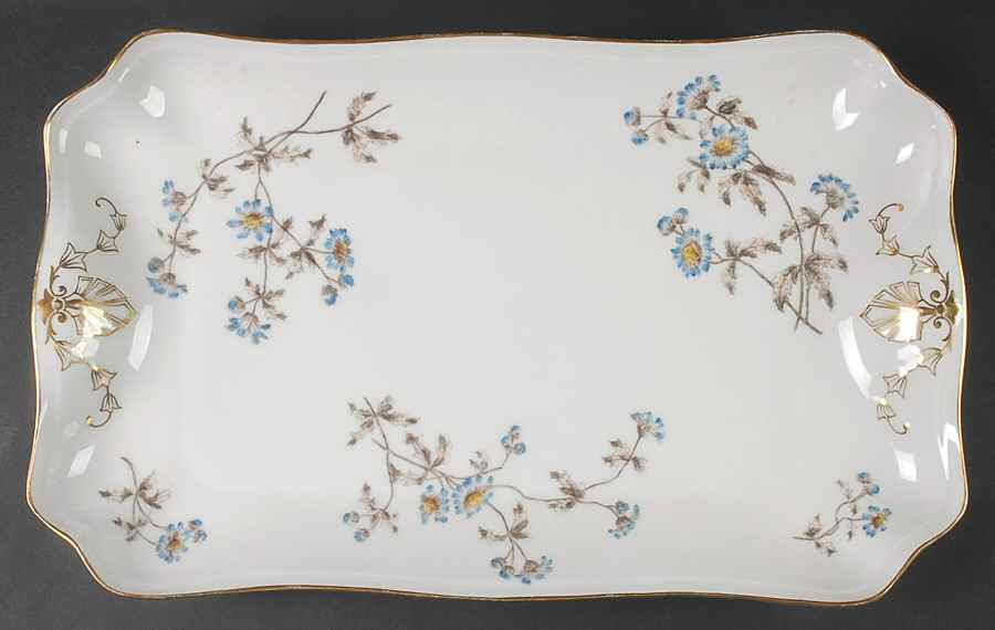 Schleiger 1311 18" Rectangular Serving Platter by Charles Field Haviland-1