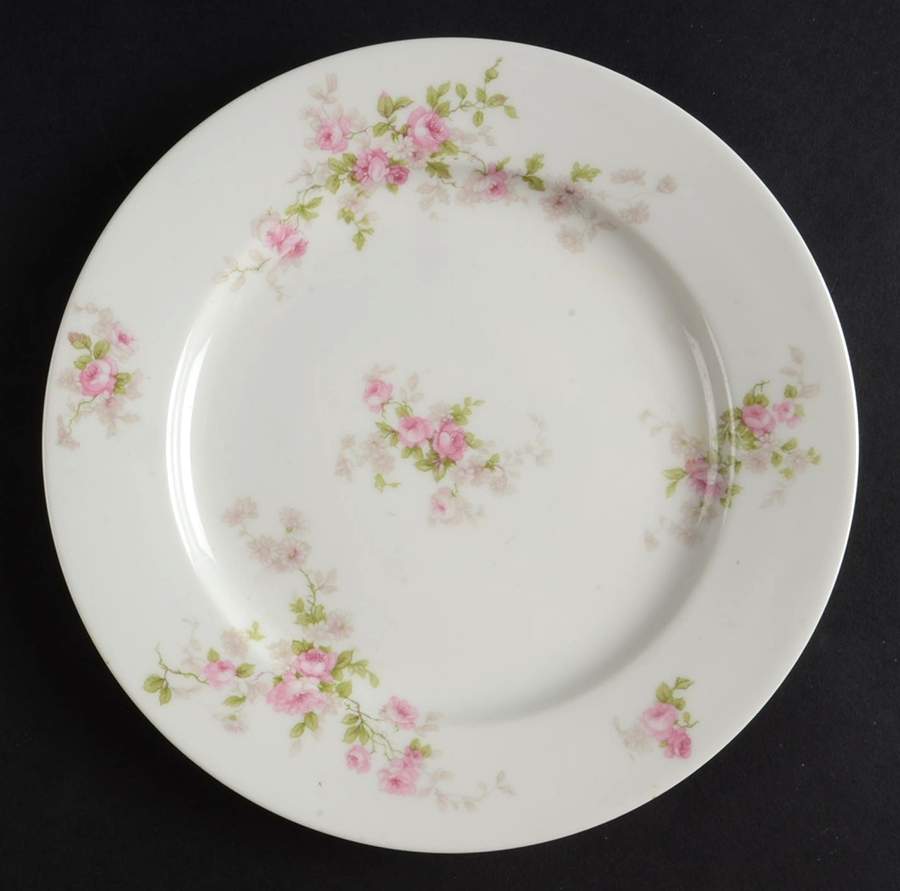 Schleiger 1314 Salad Plate by Charles Field Haviland-1