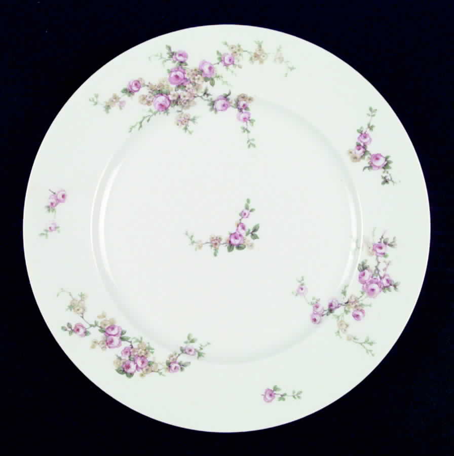 Schleiger 1318 Dinner Plate by Charles Field Haviland-1