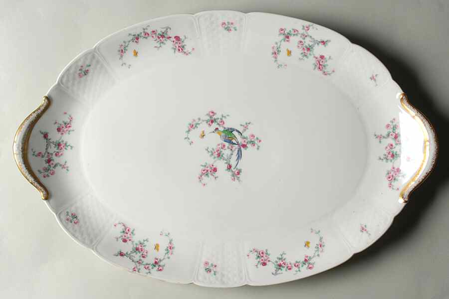 Schleiger 1328 17" Oval Serving Platter by Charles Field Haviland-1