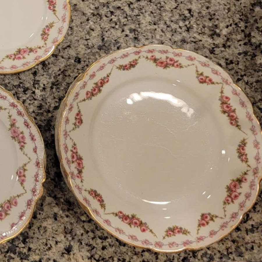 Schleiger 1339 Luncheon Plate by Charles Field Haviland-1