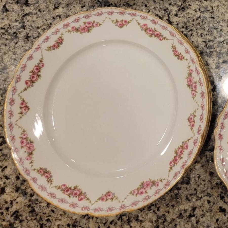 Schleiger 1339 Dinner Plate by Charles Field Haviland-1
