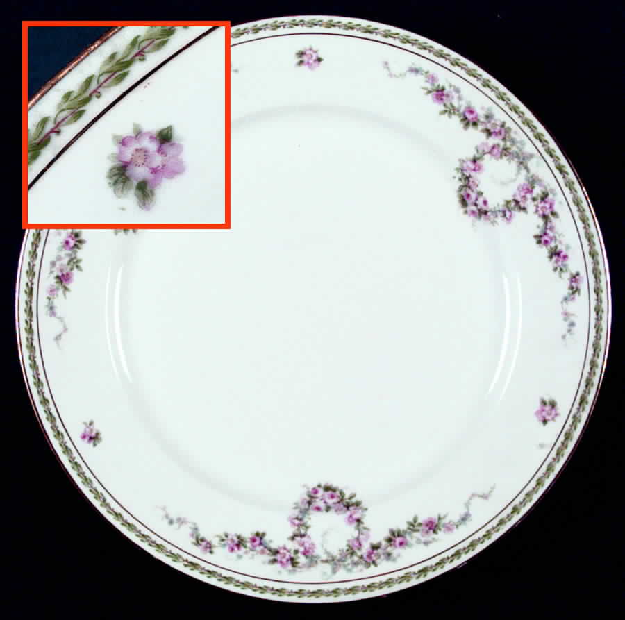 Schleiger 1341 Dinner Plate by Charles Field Haviland-1
