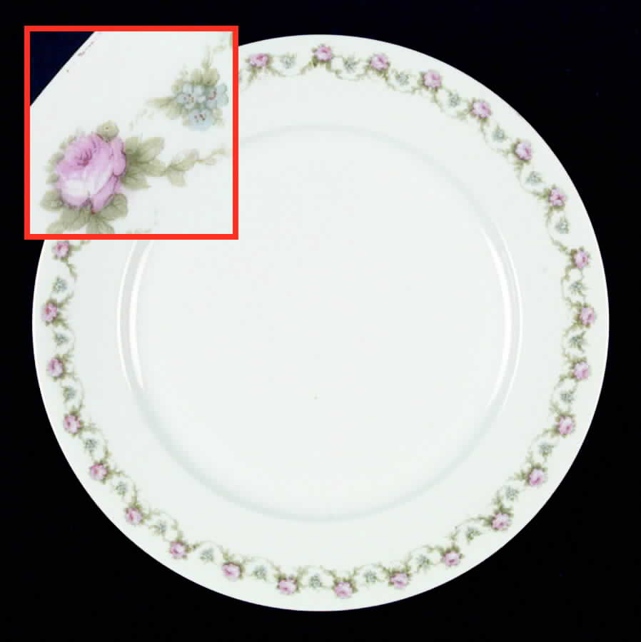 Schleiger 1348 Dinner Plate by Charles Field Haviland-1
