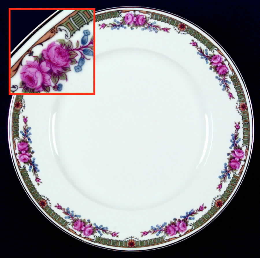 Schleiger 1355 Dinner Plate by Charles Field Haviland-1