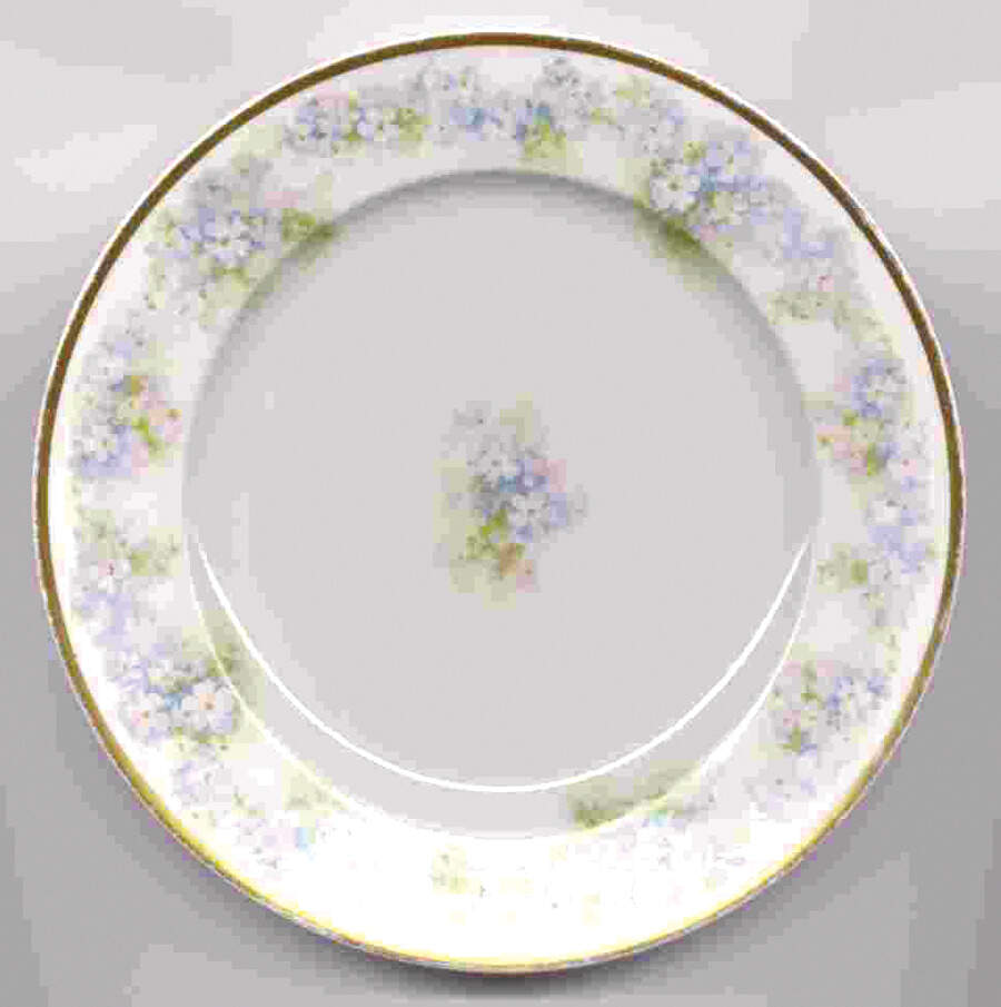 Schleiger 189b Bread & Butter Plate by Charles Field Haviland-1
