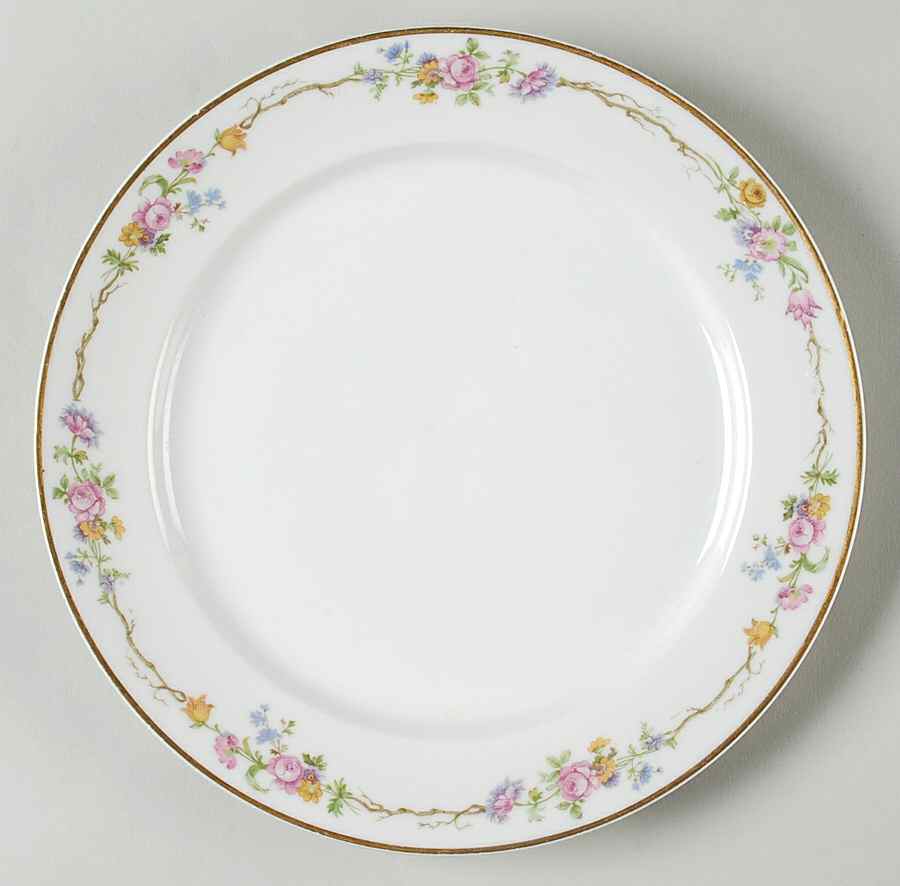 Schleiger 190 Dinner Plate by Charles Field Haviland-1
