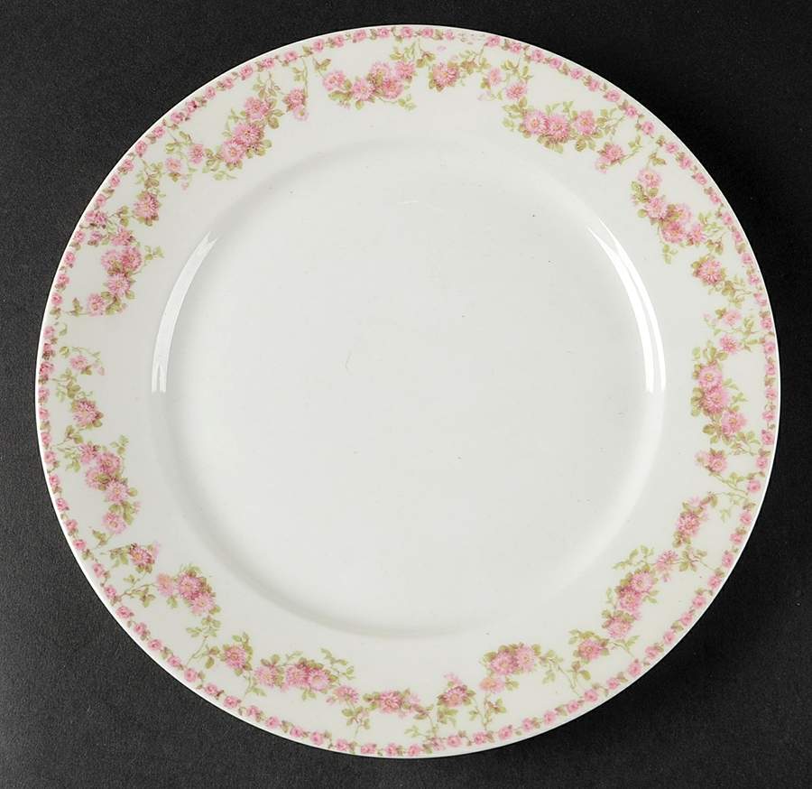 Schleiger 195m Dinner Plate by Charles Field Haviland-1