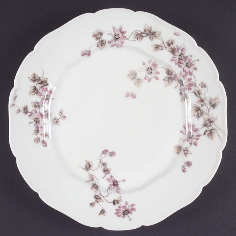 Schleiger 373 Dinner Plate by Charles Field Haviland-1