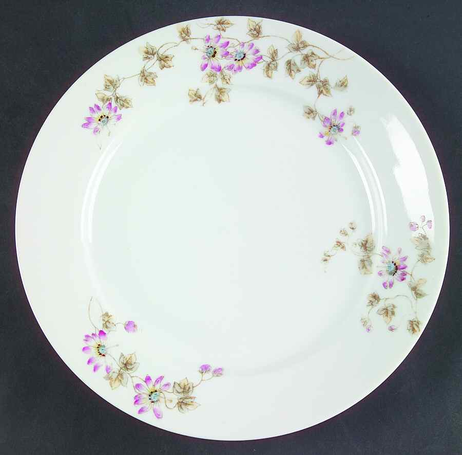 Schleiger 373A Dinner Plate by Charles Field Haviland-1
