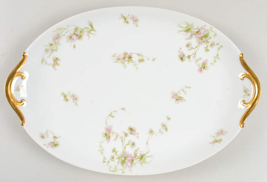 Schleiger 377 17" Oval Serving Platter by Charles Field Haviland-1