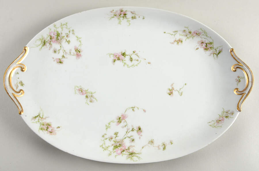 Schleiger 377 19" Oval Serving Platter by Charles Field Haviland-1