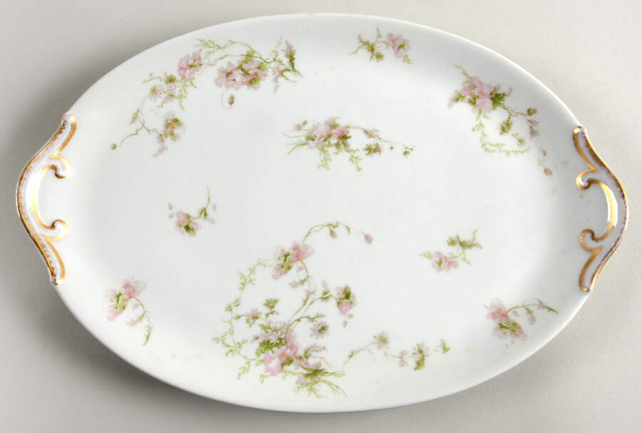 Schleiger 377 14" Oval Serving Platter by Charles Field Haviland-1