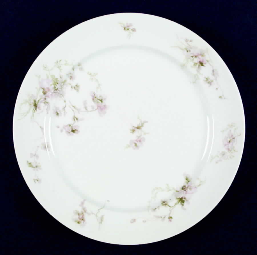Schleiger 377 Dinner Plate by Charles Field Haviland-1