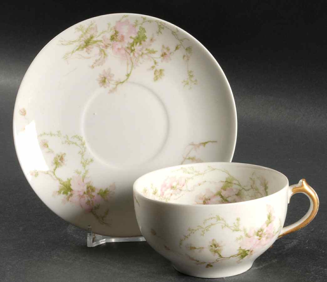 Schleiger 377 Flat Cup & Saucer Set by Charles Field Haviland-1