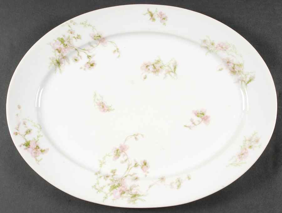 Schleiger 377 15" Oval Serving Platter by Charles Field Haviland-1