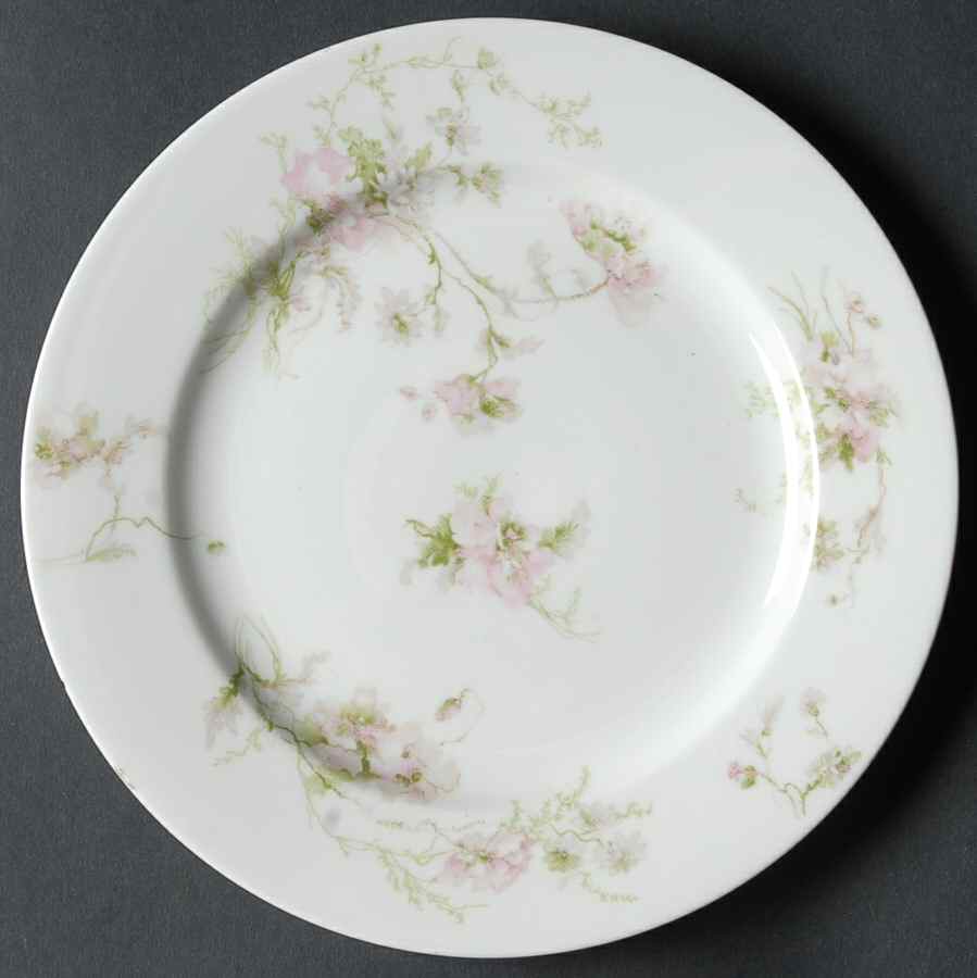 Schleiger 377 Salad Plate by Charles Field Haviland-1