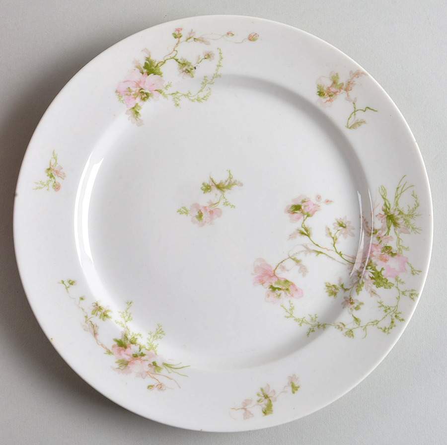 Schleiger 377 Luncheon Plate by Charles Field Haviland-1