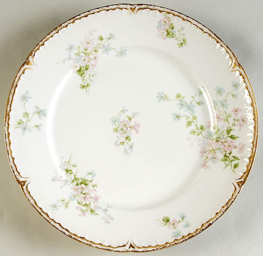 Schleiger 381 Dinner Plate by Charles Field Haviland-1