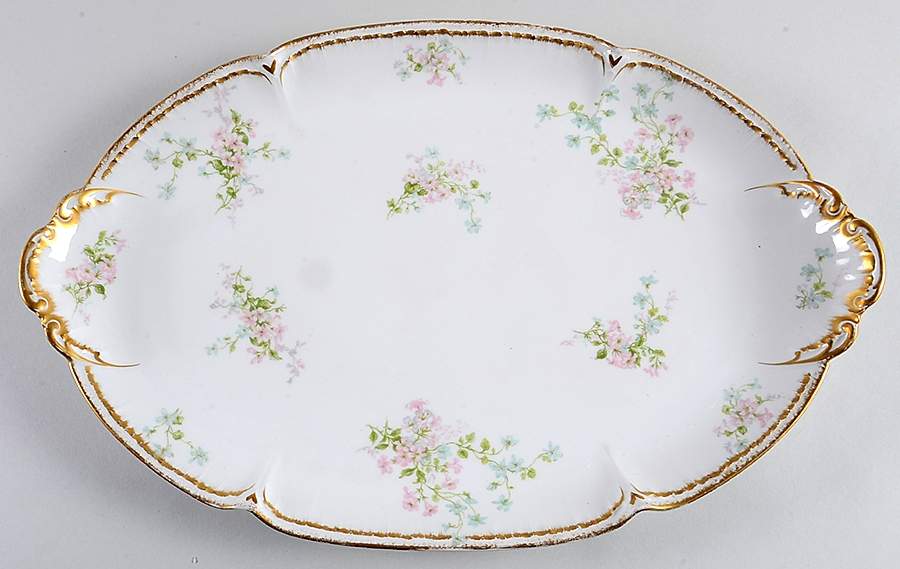 Schleiger 381 19" Oval Serving Platter by Charles Field Haviland-1