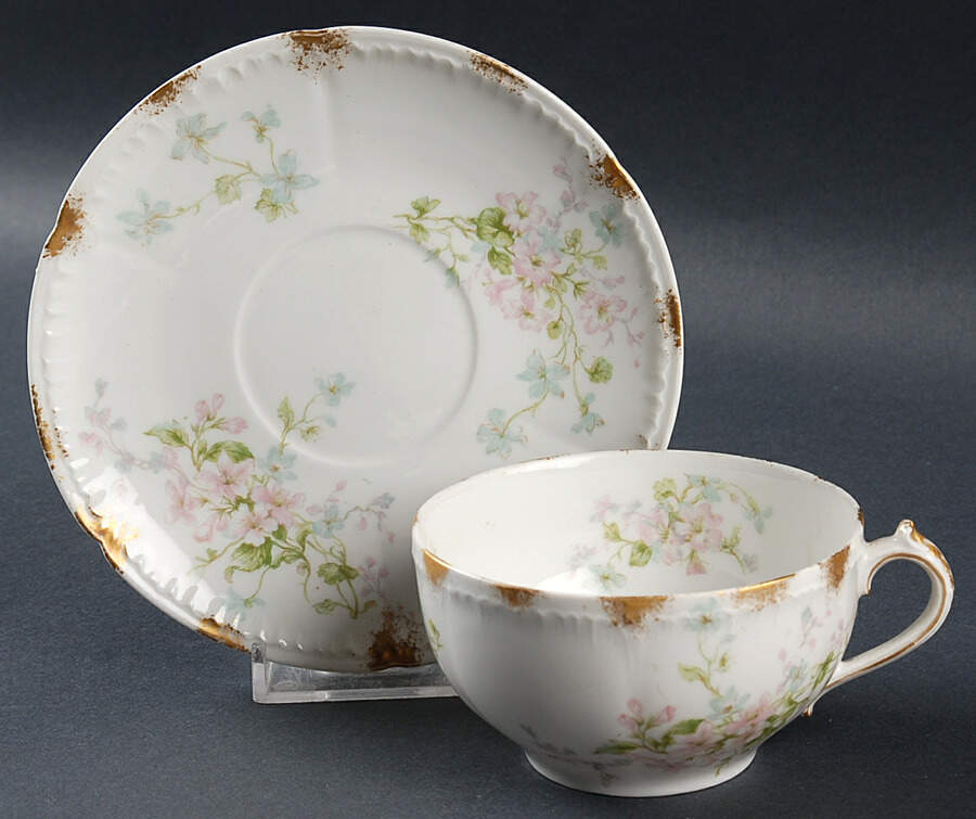 Schleiger 381a Flat Cup & Saucer Set by Charles Field Haviland-1