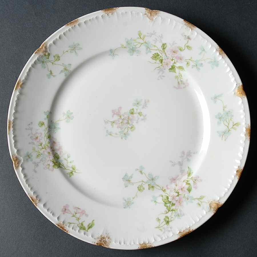 Schleiger 381a Luncheon Plate by Charles Field Haviland-1