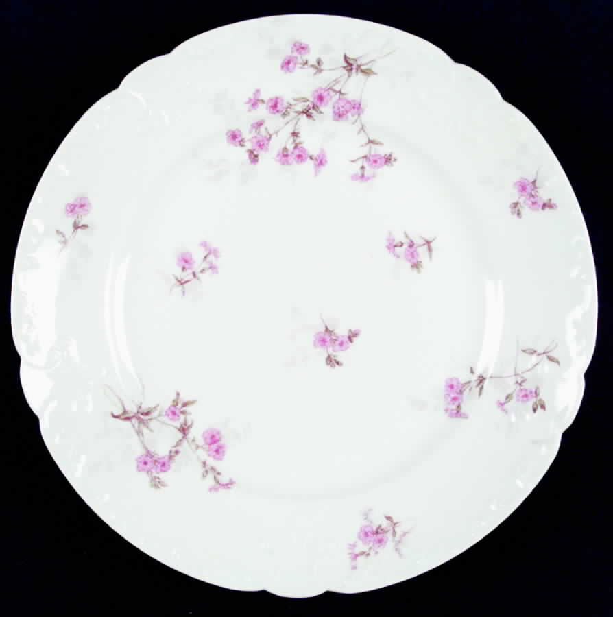 Schleiger 382 Dinner Plate by Charles Field Haviland-1