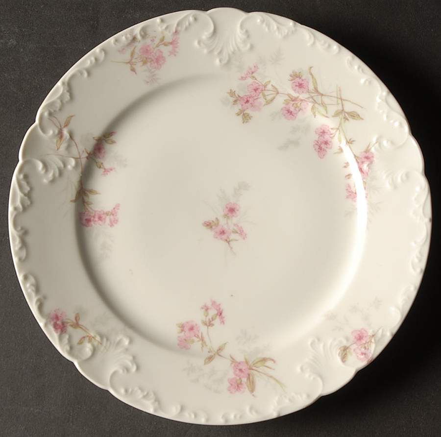 Schleiger 382 Salad Plate by Charles Field Haviland-1
